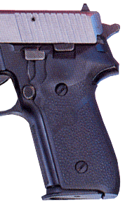 HOGUE GRIPS SIGARMS P228 & – P229 RUBBER PANELS BLACK