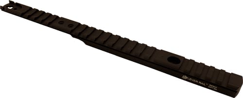 XS LEVER RAIL HENRY .357