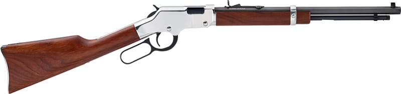 HENRY H4 GOLDENBOY SILVER – YOUTH 22S/L/LR 17″ OCT. WALNUT