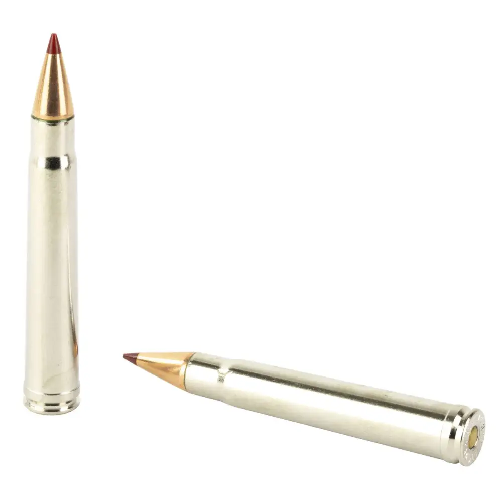 HORNADY CX OUTFITTER 375 H&H MAG 250G CX OTF 20RD BX 200RD CASE - Image 3